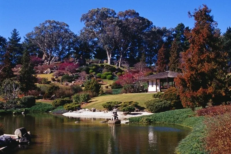 Japanese-style garden with a pond, stone lantern, and timber pavilion