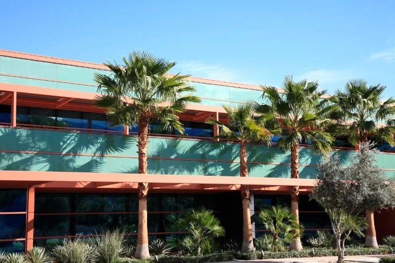 Palm trees and garden beds landscaped along a commercial office building