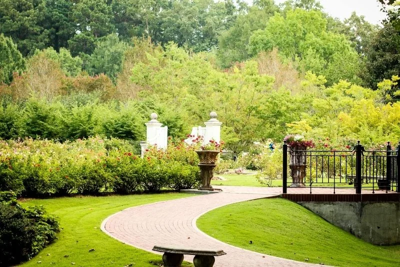 Paved garden path through a lawned garden with rose beds and a stone bench